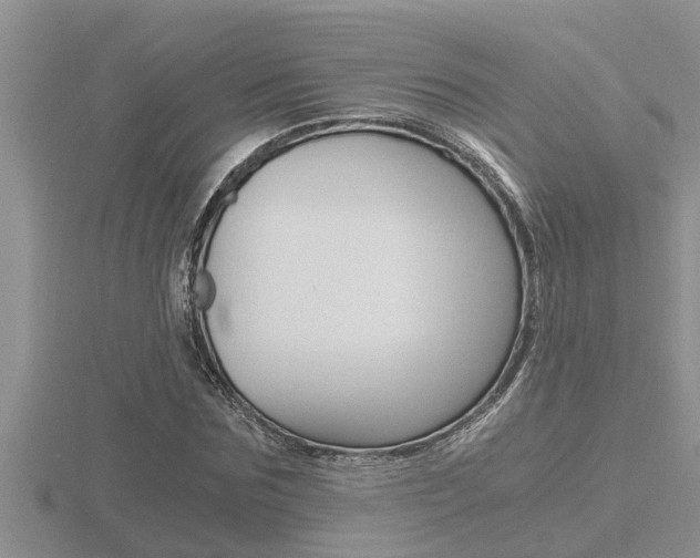 X0000116480875200912090925