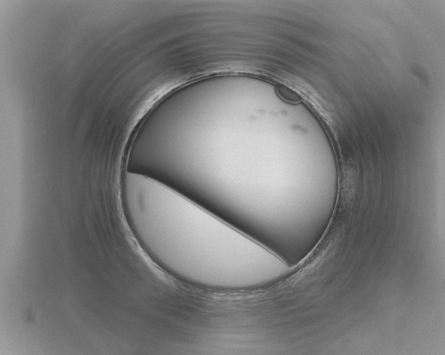 X0000116480898200912090924