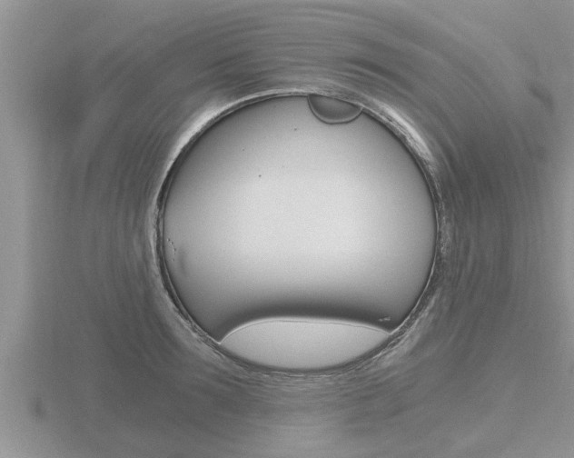 X0000116480899200912090924
