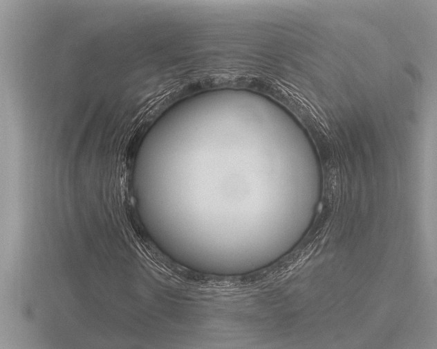 X0000116480914200912090923