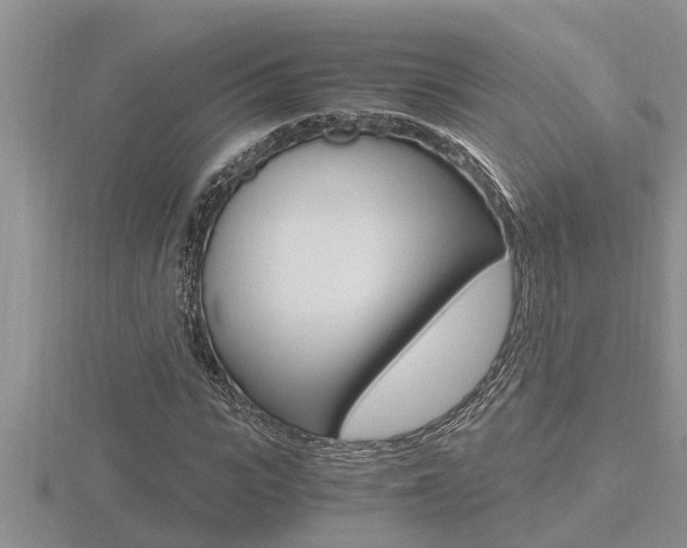 X0000116480919200912090923