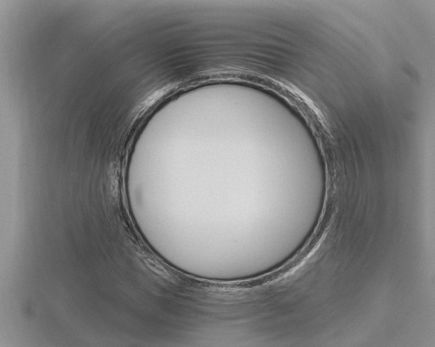 X0000116480921200912090923