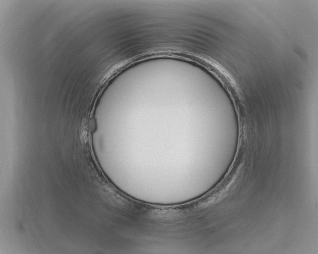 X0000116480929200912090924