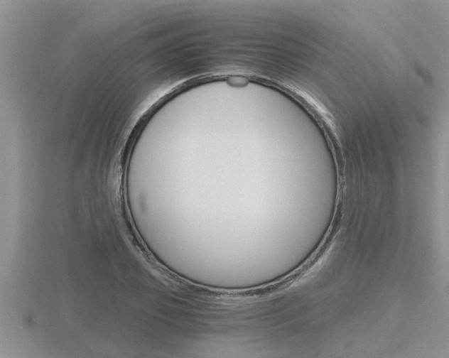 X0000116480933200912090924