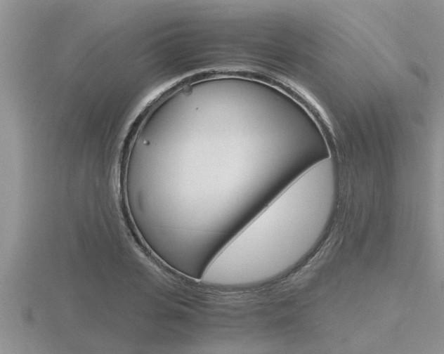 X0000116480935200912090924