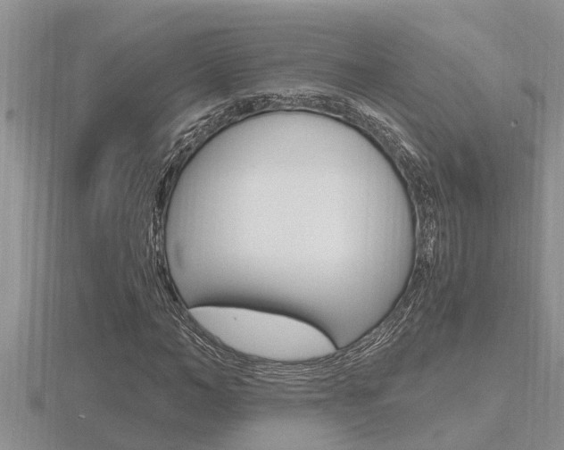 X0000116480966200912090923