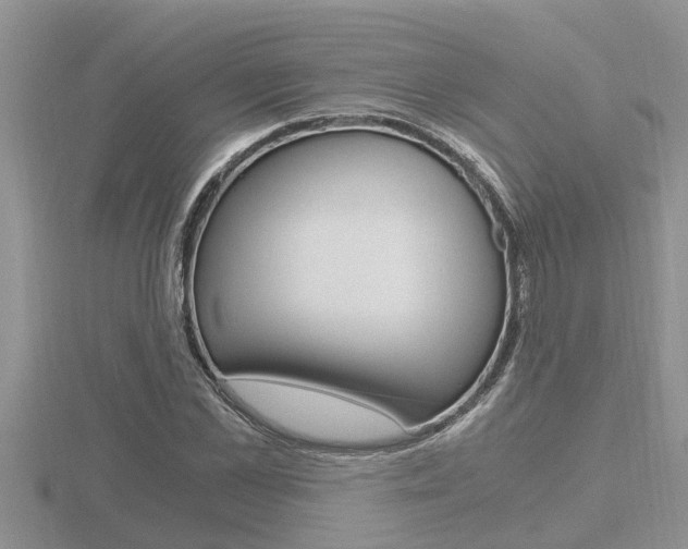 X0000116480973200912090923