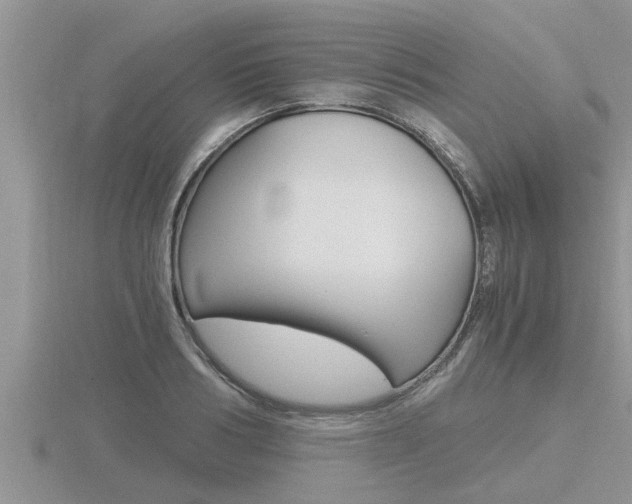X0000116480986200912090923