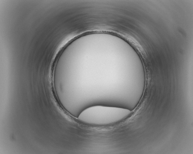 X0000116480990200912090923