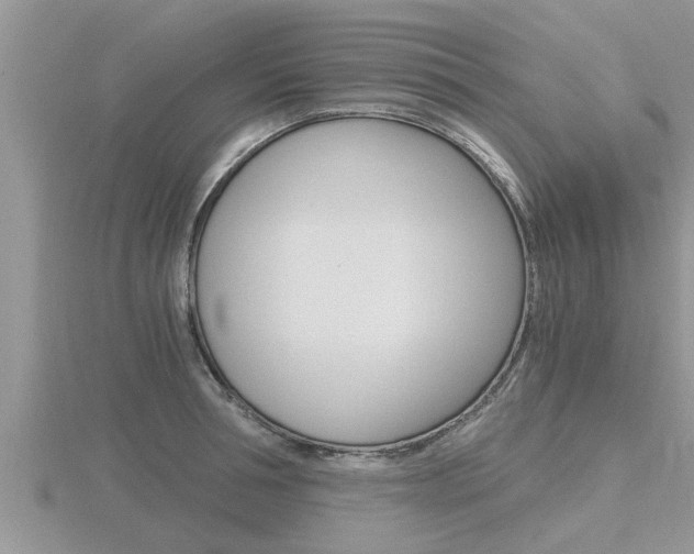X0000116480994200912090923
