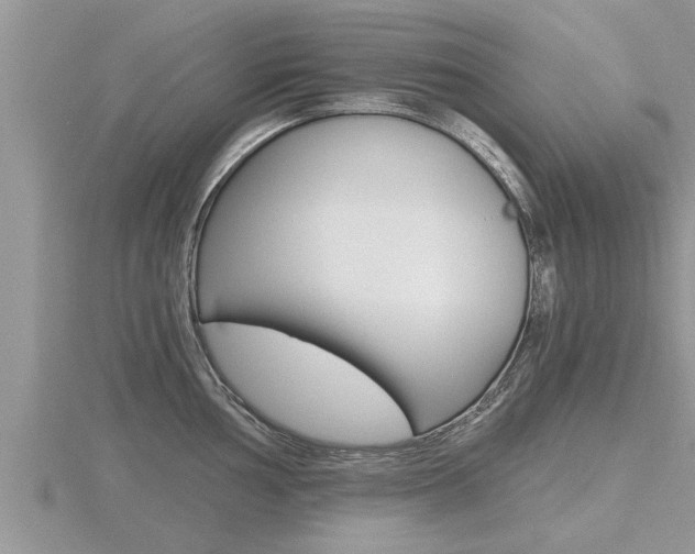 X0000116481002200912090923