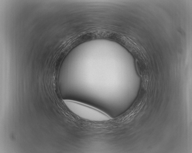 X0000116481010200912090922