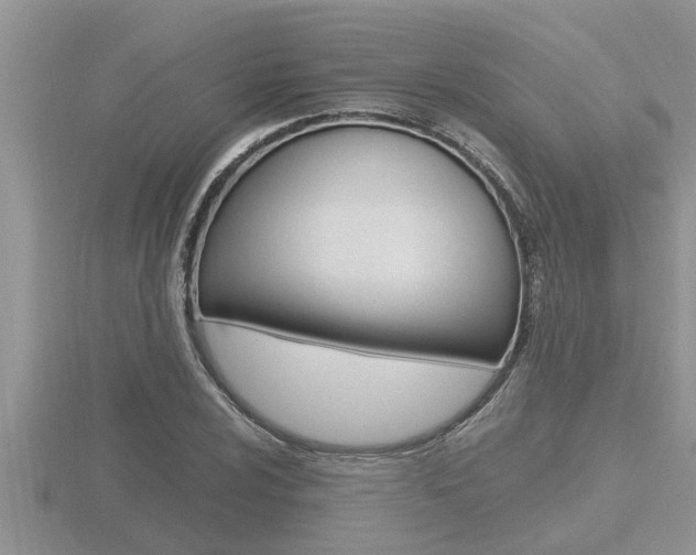 X0000116481024200912090922