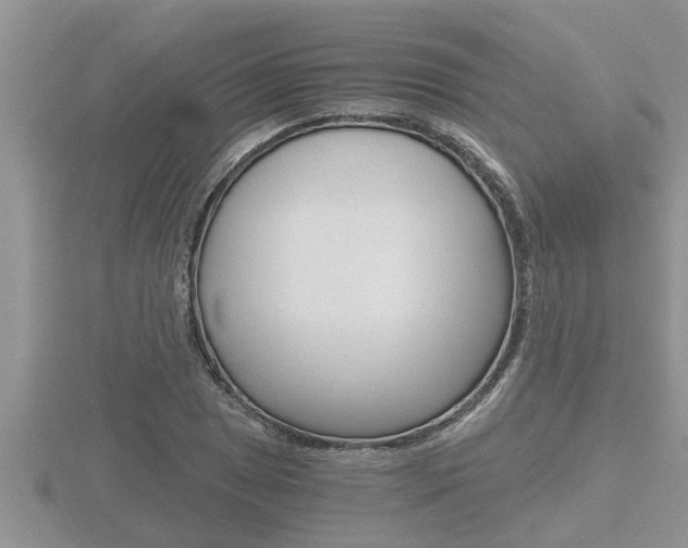 X0000116481025200912090922