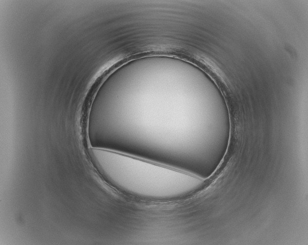 X0000116481026200912090922