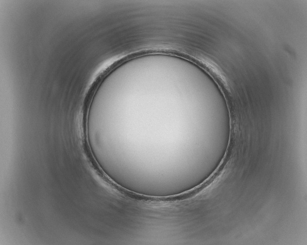 X0000116481030200912090922