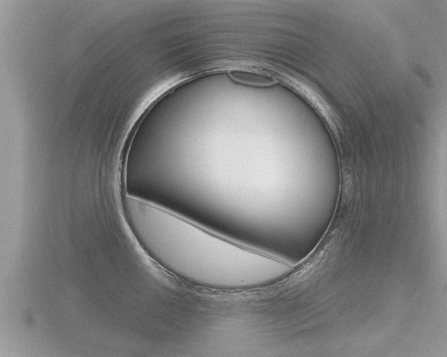 X0000116481050200912090923