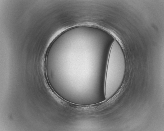X0000116481054200912090923