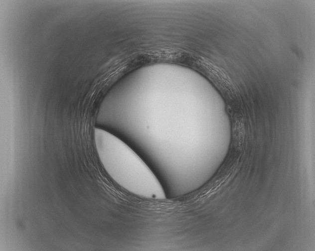 X0000116481058200912090922