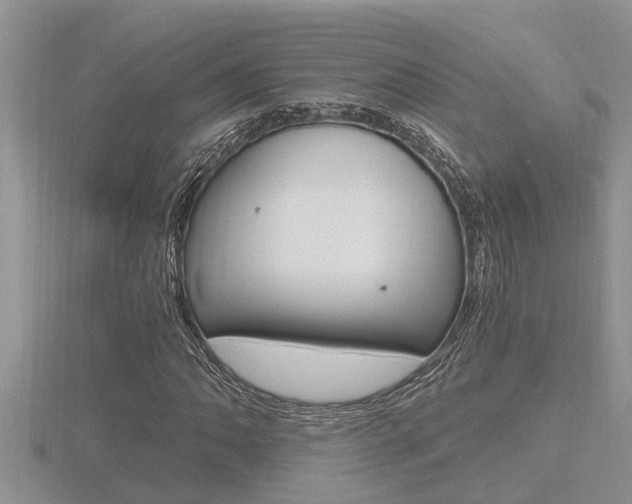 X0000116481062200912090922