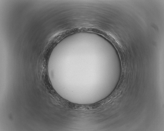 X0000116481063200912090922