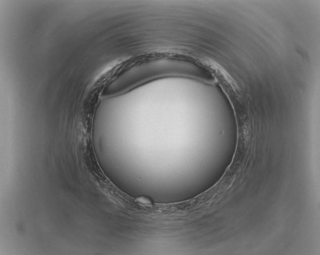 X0000116481064200912090922