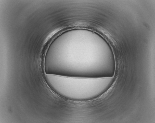 X0000116481066200912090922