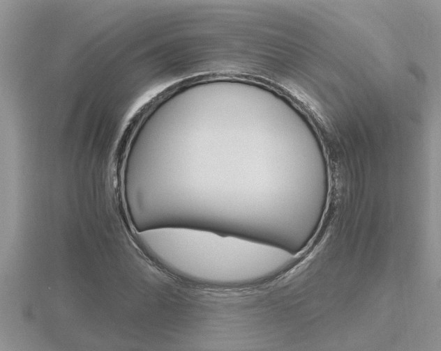 X0000116481070200912090922