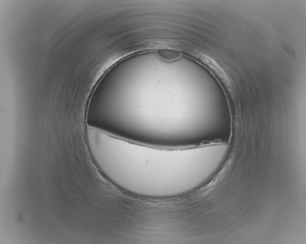 X0000116481089200912090922