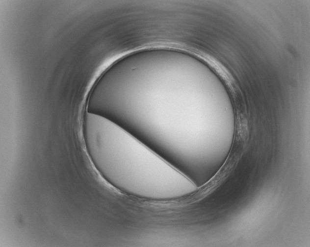 X0000116481102200912090921