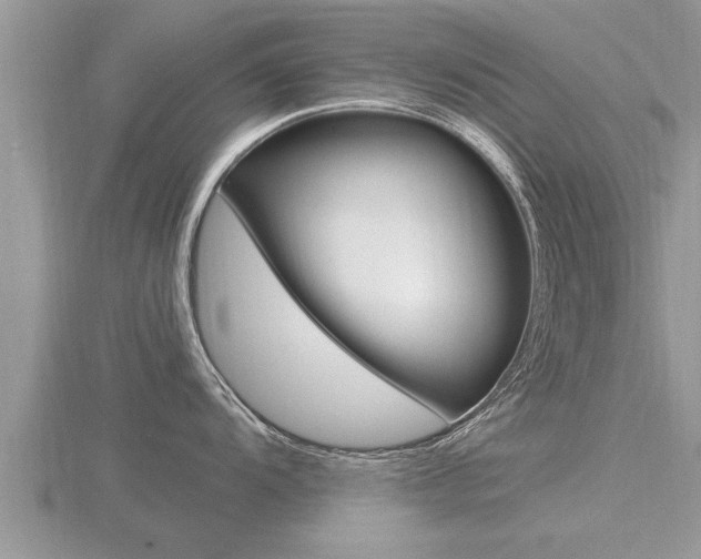 X0000116481104200912090921