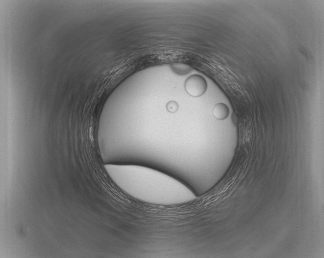 X0000116481106200912090921