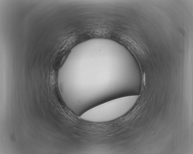 X0000116481107200912090921