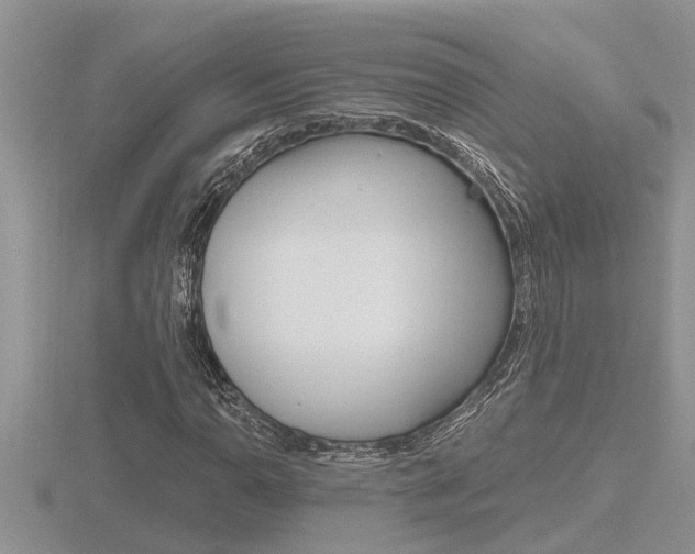 X0000116481110200912090921