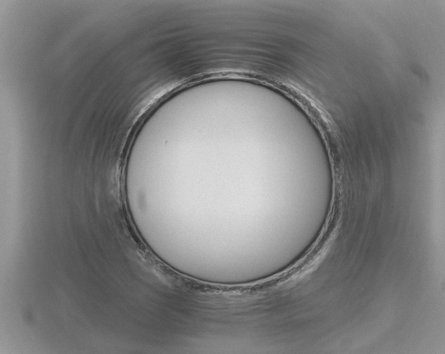 X0000116481121200912090921