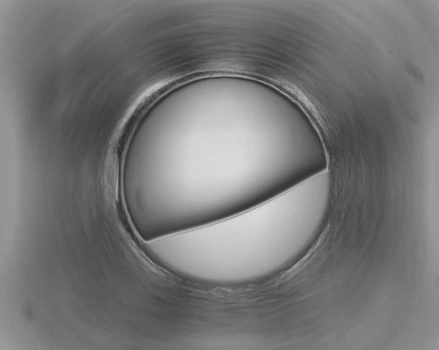 X0000116481123200912090921