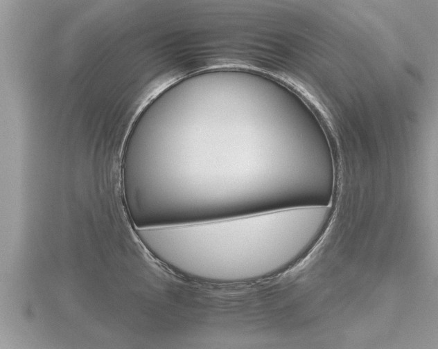 X0000116481145200912090921