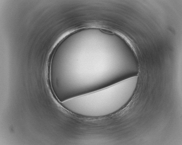X0000116481147200912090921