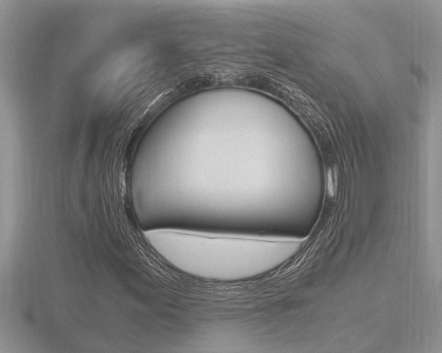 X0000116481155200912090921