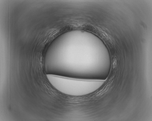 X0000116481156200912090921