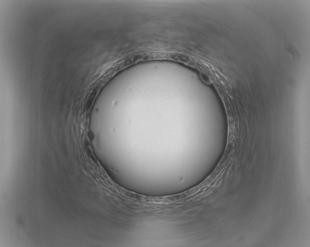 X0000116481157200912090921