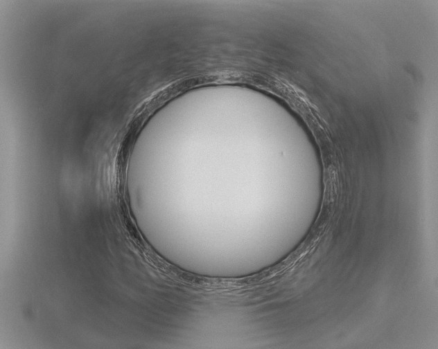 X0000116481158200912090921