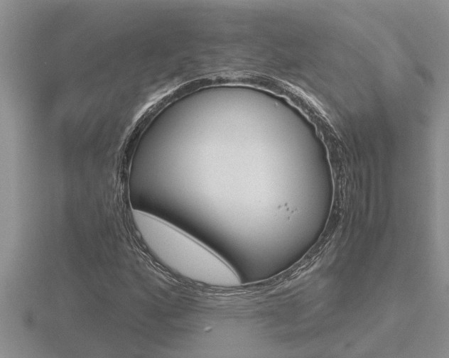 X0000116481160200912090921