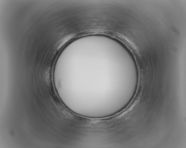 X0000116481162200912090921