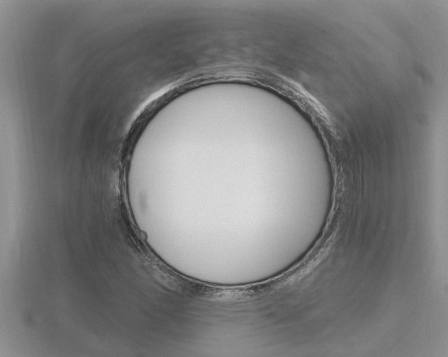 X0000116481166200912090921