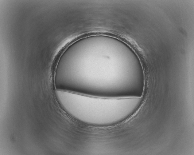 X0000116481167200912090921