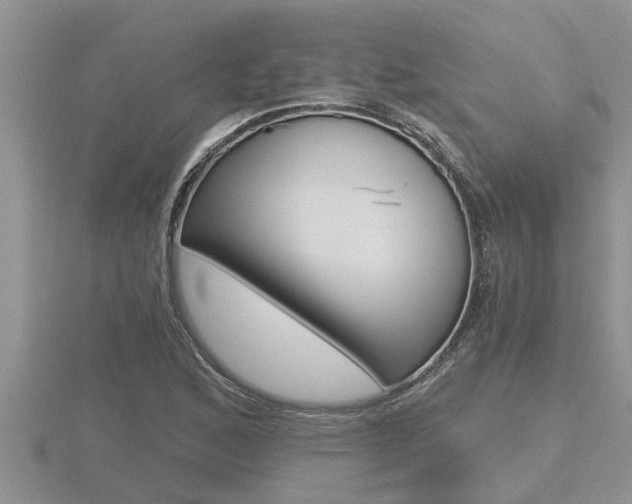 X0000116481168200912090921