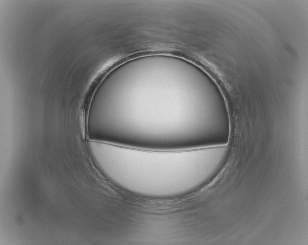 X0000116481171200912090920