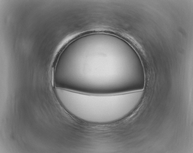 X0000116481175200912090920