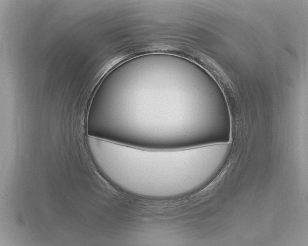 X0000116481177200912090920